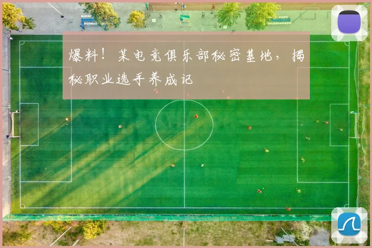 爆料！某电竞俱乐部秘密基地，揭秘职业选手养成记
