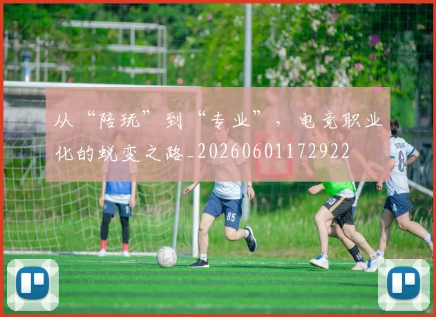 从“陪玩”到“专业”,电竞职业化的蜕变之路_20260601172922